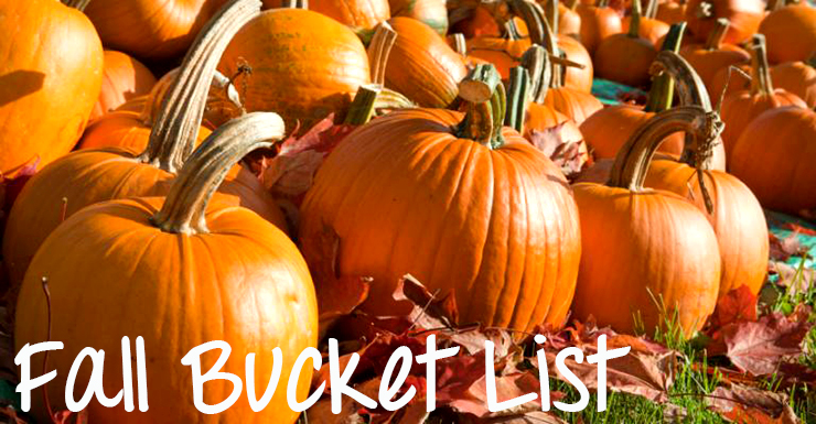 Fall Bucket List